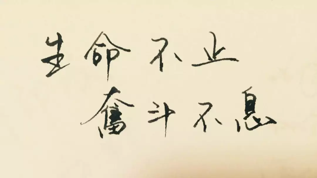 只要努力,一切都会充满希望(图1)