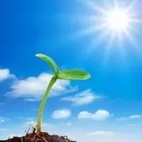 只要努力,一切都会充满希望(图5)