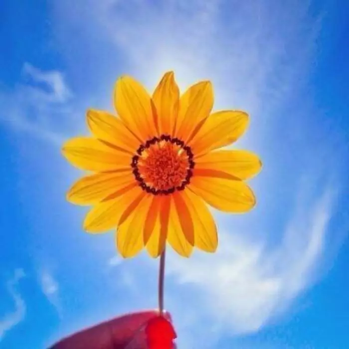 只要努力,一切都会充满希望(图6)