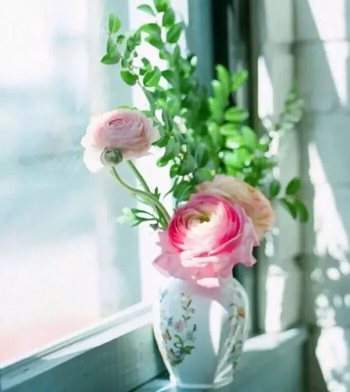 只要努力,一切都会充满希望(图9)